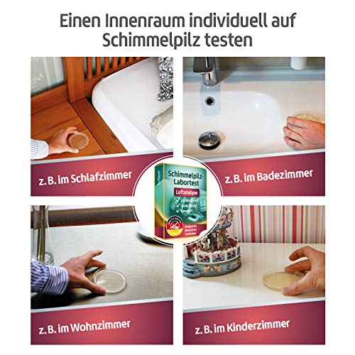 Schimmeltest für die Raumluft zur Analyse von Schimmelpilzsporen in Räumen – eigene Probenahme (Passivsammlung) mit professionellem Schimmeltest im Labor - 2