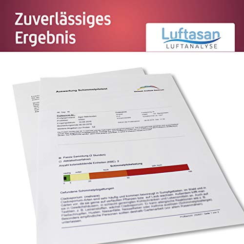 Schimmeltest für die Raumluft zur Analyse von Schimmelpilzsporen in Räumen – eigene Probenahme (Passivsammlung) mit professionellem Schimmeltest im Labor - 3