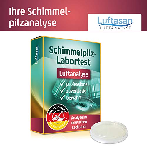 Schimmeltest für die Raumluft zur Analyse von Schimmelpilzsporen in Räumen – eigene Probenahme (Passivsammlung) mit professionellem Schimmeltest im Labor - 6