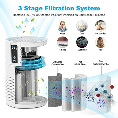 Luftreiniger DIKI Air Purifier mit HEPA-Kombifilter, Aktivkohlefilter und Ionisierer - 3