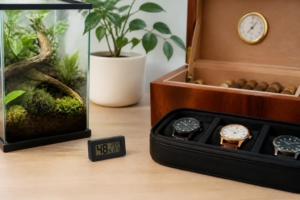 Mini Hygrometer: Kaufratgeber für kleine Räume, Vitrinen, Terrarien und mehr Ein Mini