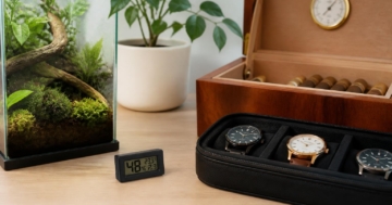 Mini Hygrometer: Kaufratgeber für kleine Räume, Vitrinen, Terrarien und mehr Ein Mini